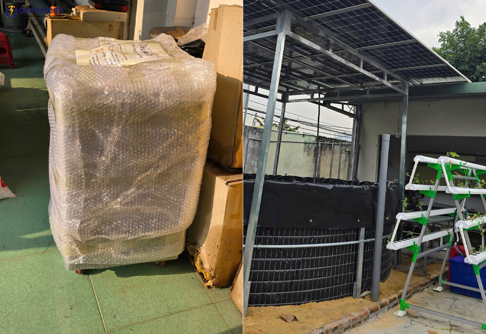 may-tao-oxy-suc-be-ca-trong-bon-nuoi-thu-nghiem-nuoi-ca-giong